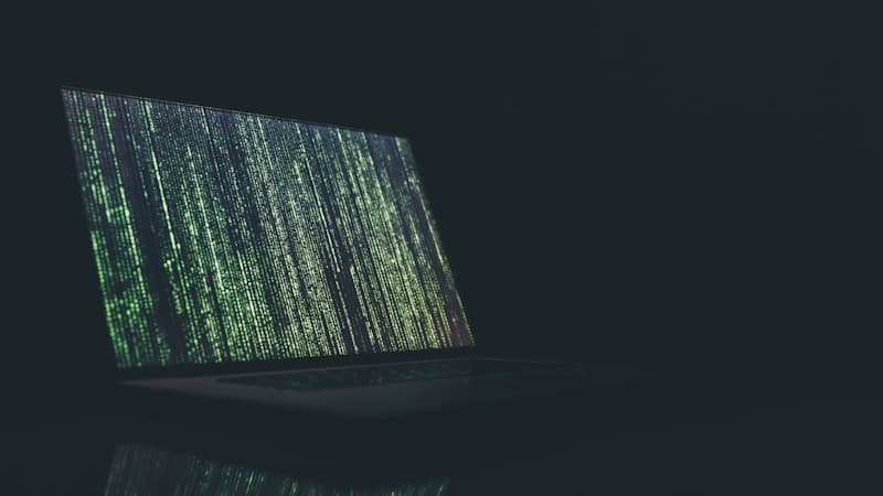 Veilig Blijven op Datingsites