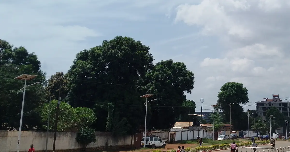 Rencontre en Centrafrique : Bangui, famille et diaspora