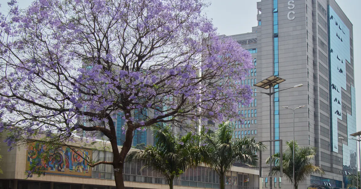 Rencontre à Harare : quartiers, sorties et sécurité